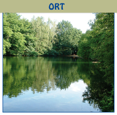 Ort