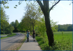 Inline auf einem Fahrradweg Zwei Frauen mit Inlinern auf einem Fahrradweg